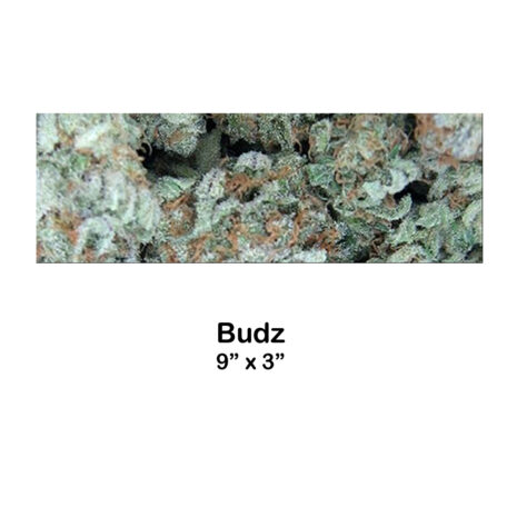 budz budz