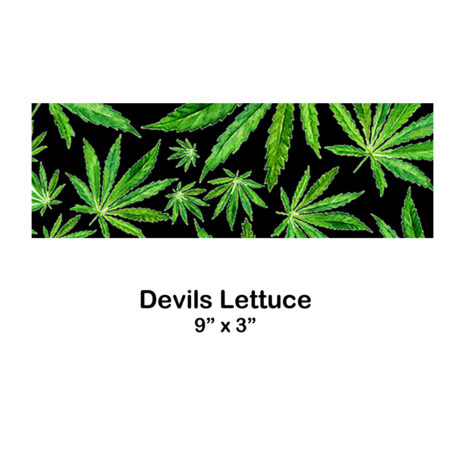 devils lettuce devils lettuce